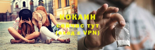 гашик Бородино
