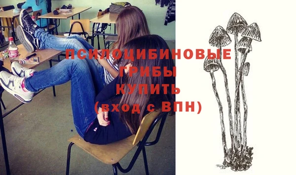гашик Бородино