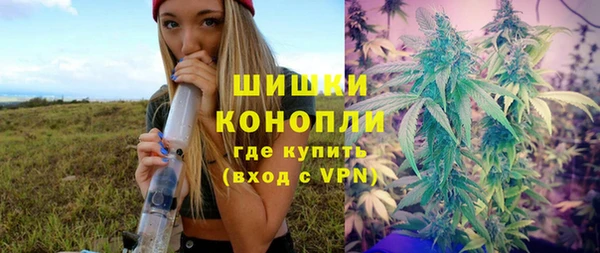 мдпв Верхний Тагил