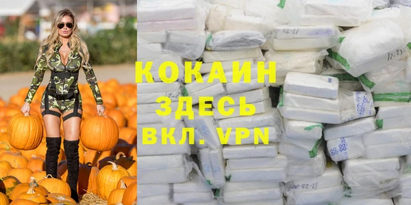 прущая мука Тында