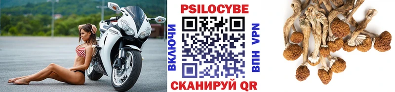 Галлюциногенные грибы мухоморы  Выборг 