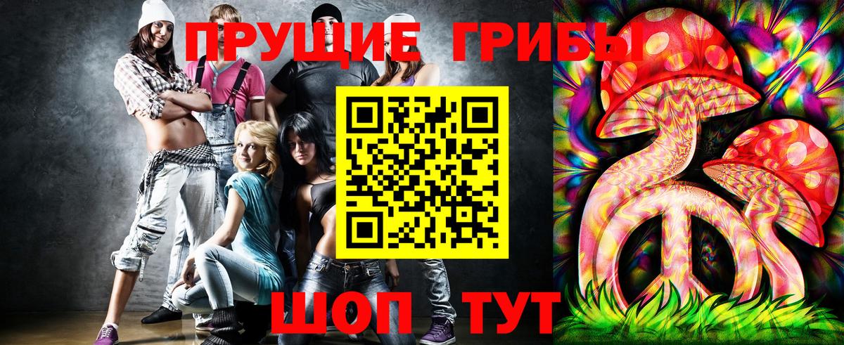Галлюциногенные грибы Psilocybe Выборг