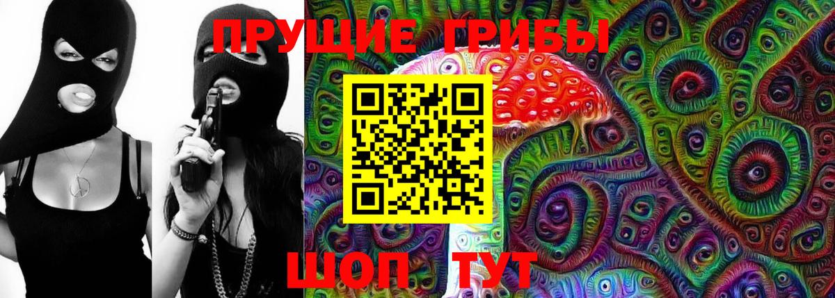 Галлюциногенные грибы мицелий  Галлюциногенные грибы Psilocybe  Выборг  Вход с VPN 