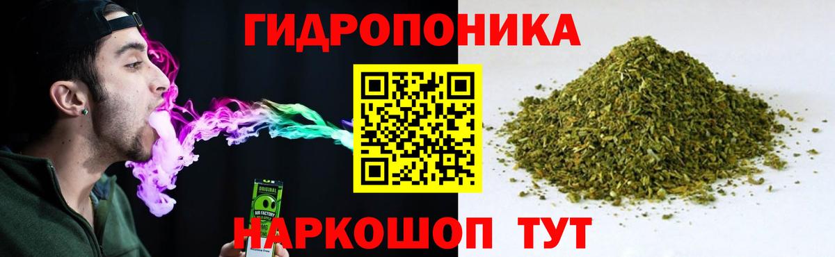 Бошки Шишки VHQ Выборг